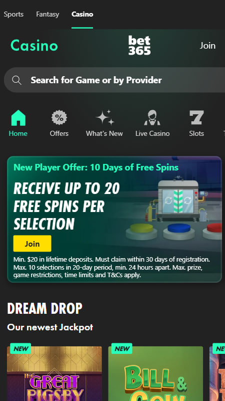 Bet365 Casino Section