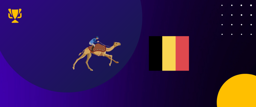 Camel racing Belgium