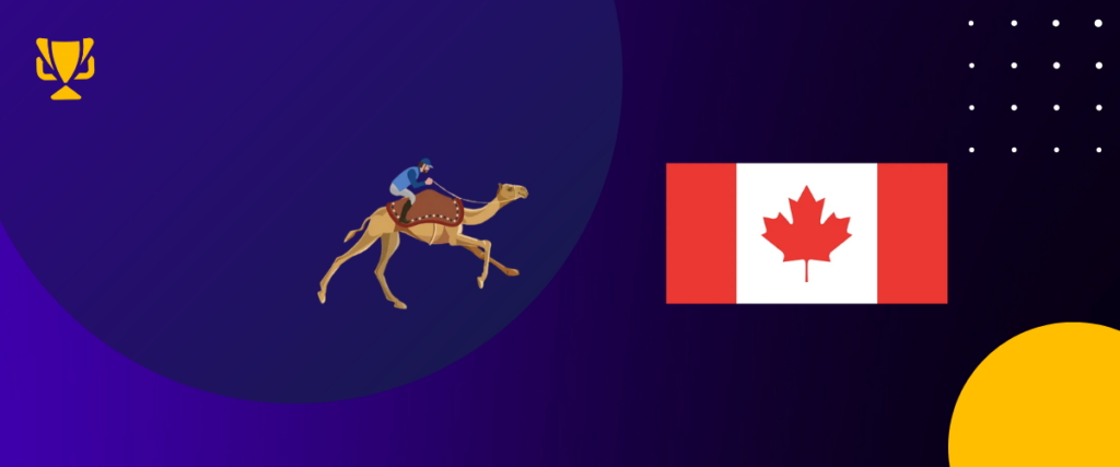 Camel racing Canada