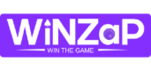 winzap logo 300x140