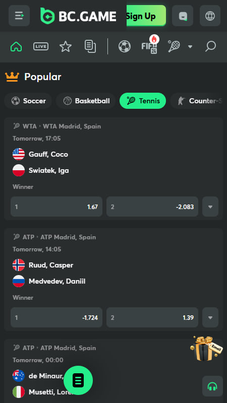BC.Game Tennis Bookmaker In Indonesia