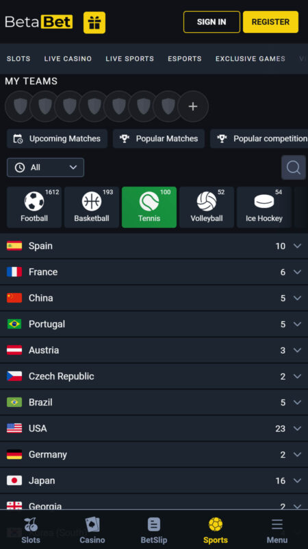 BetaBet Bookmaker tennis betting