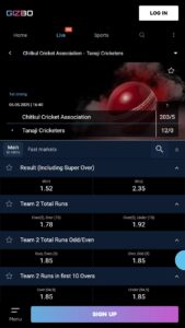 cricket match at Gizbo sports betting site
