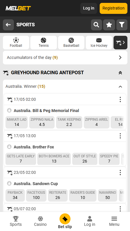 Melbet Bookmaker Greyhound betting