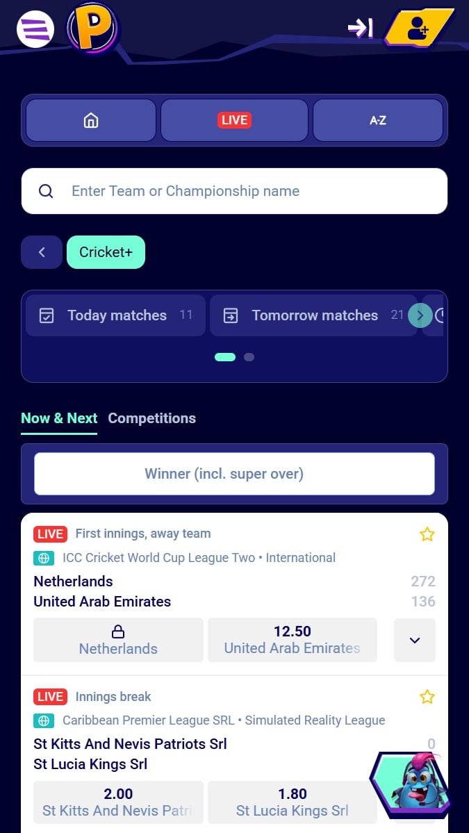 MrPacho Cricket Betting Page
