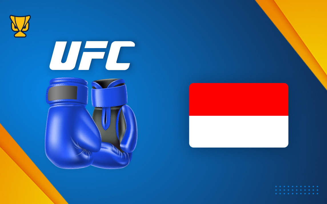 Table of Contents for UFC Betting Sites Guide