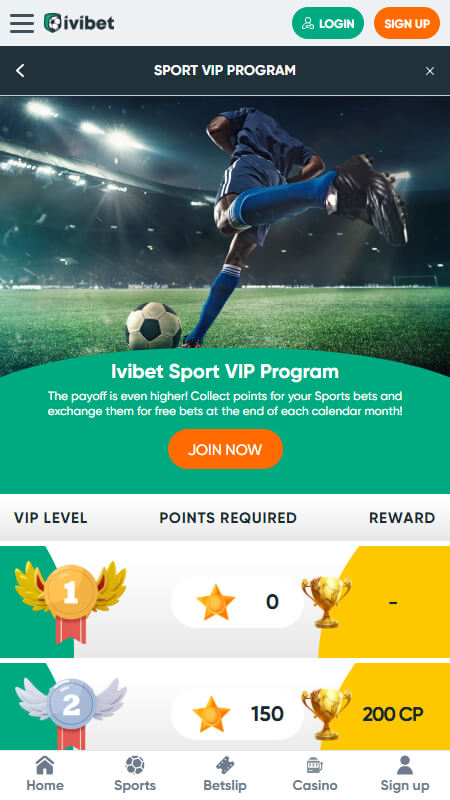 Ivibet Bookmaker Vip program