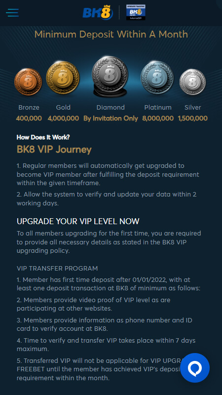 BK8 vip program