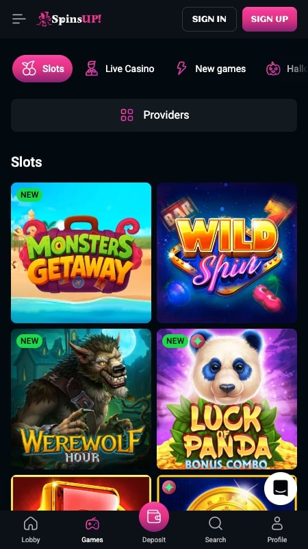 Spinsup casino interface