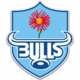 Bulls logo