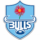 Bulls logo