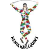 Harlequins logo