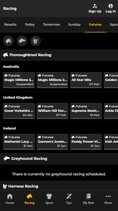 Betfair horce racing