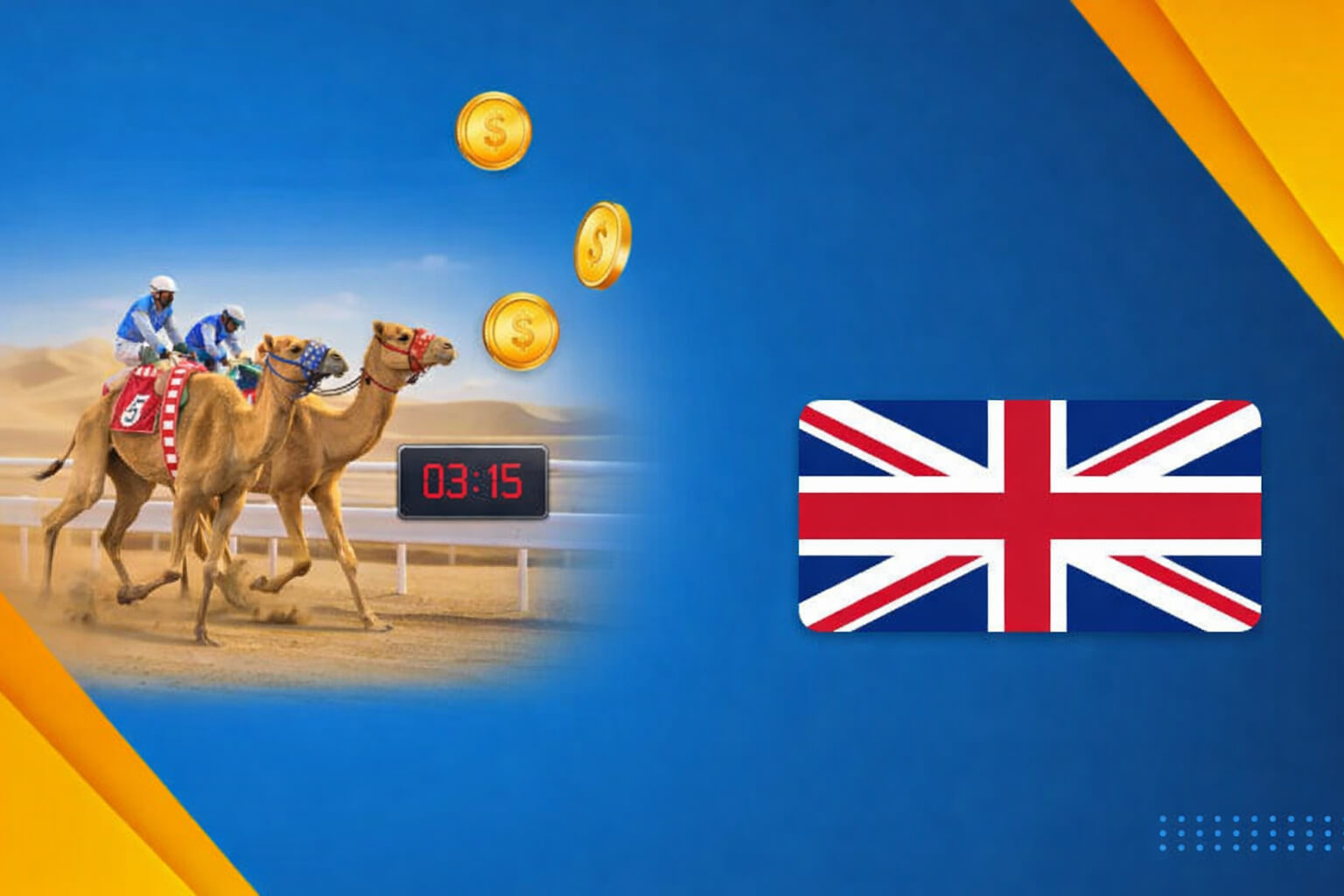 Camel Racing in the UK