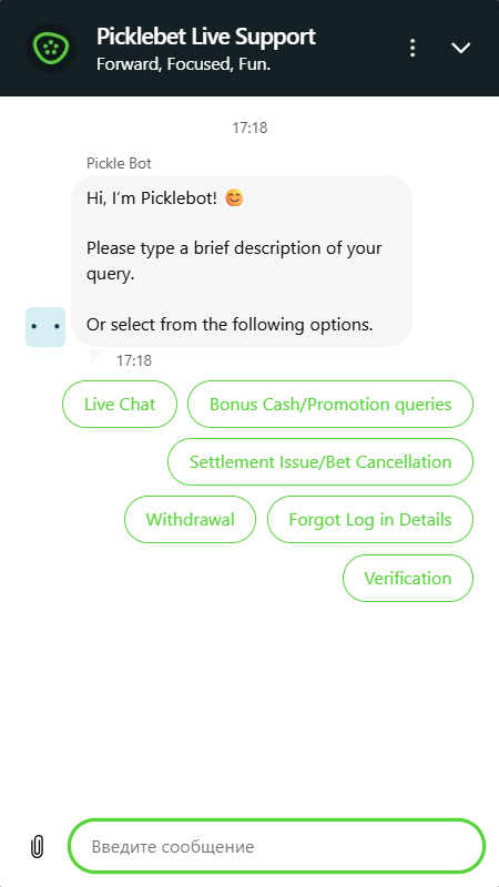 Palmerbet technical support