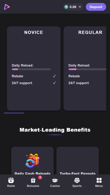 Reels.io VIP program