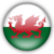 Wales U21 - Logo