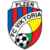 Viktoria Plzen - Logo