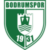 Bodrumspor - Logo