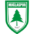 Muglaspor - Logo